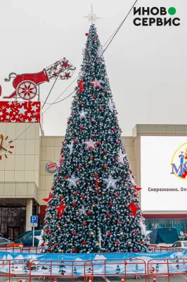 Уличная сосна Уральская зеленая с белыми кончиками 6 м., каркасная, Леска