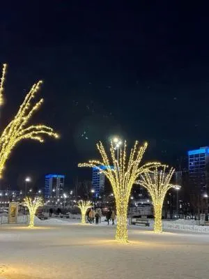 Уличное светодиодное Магическое дерево  300 см