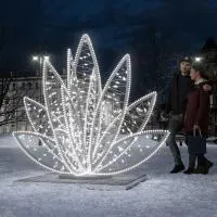 Новогодний световой фонтан «Лилия»