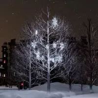 Световые новогодние мотивы «Снежинка» для деревьев